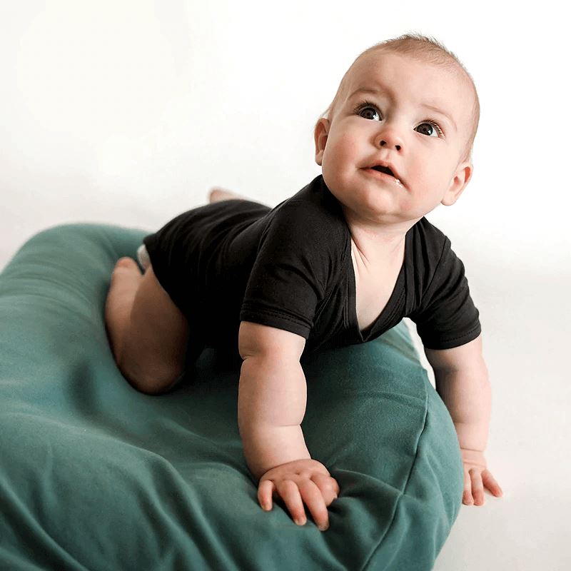  Baby Nests - Infant & Toddler Beds: Baby Products